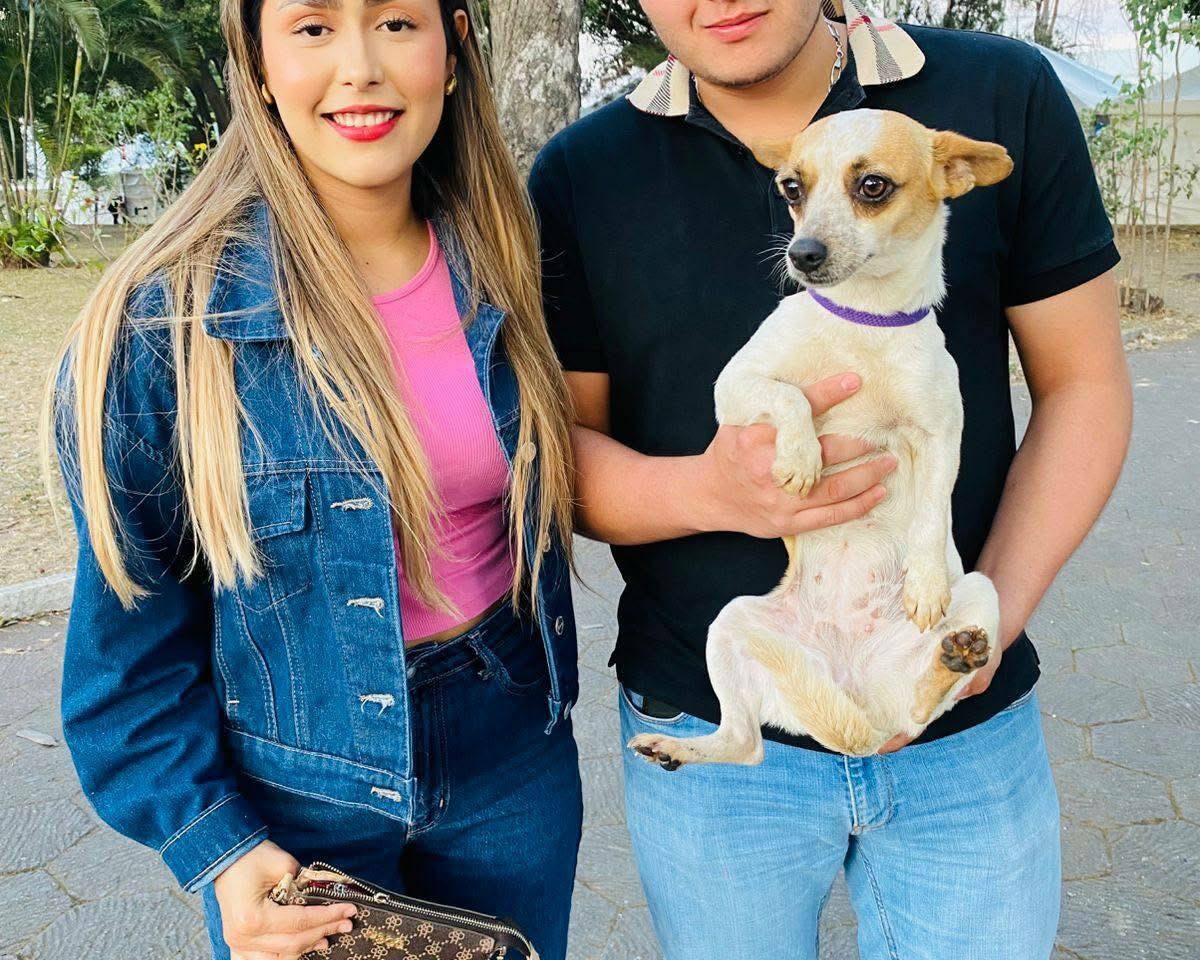 Histórico: 22 perritos rescatados en Tepic encuentran un hogar lleno de amor